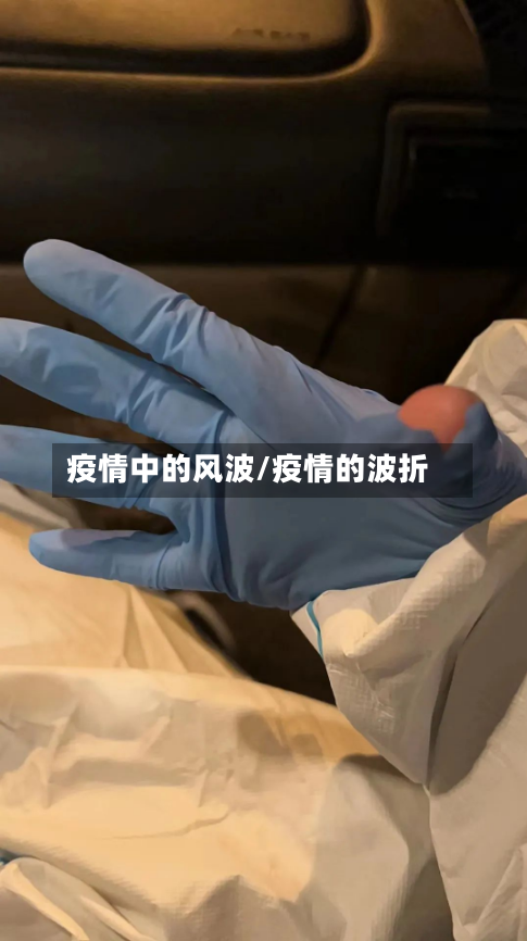 疫情中的风波/疫情的波折-第2张图片