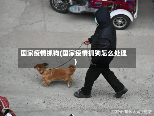 国家疫情抓狗(国家疫情抓狗怎么处理)
