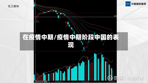 在疫情中期/疫情中期阶段中国的表现