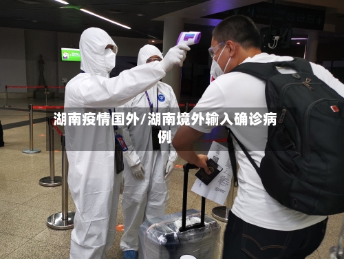 湖南疫情国外/湖南境外输入确诊病例