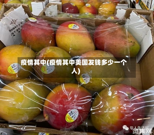 疫情其中(疫情其中美国发钱多少一个人)