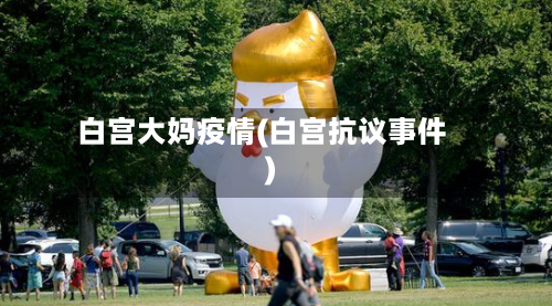 白宫大妈疫情(白宫抗议事件)