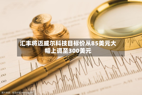 汇丰将迈威尔科技目标价从85美元大幅上调至300美元