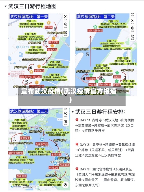 宣布武汉疫情(武汉疫情官方报道)-第2张图片