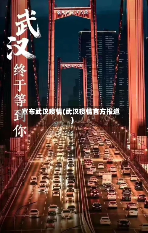宣布武汉疫情(武汉疫情官方报道)