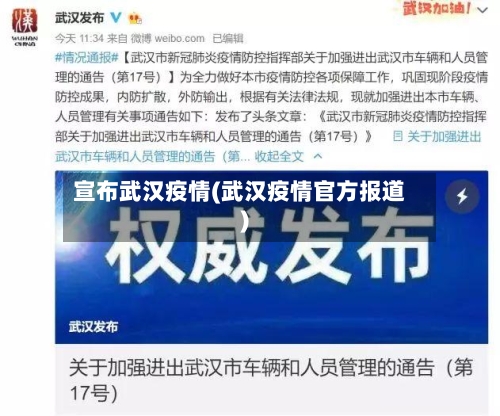 宣布武汉疫情(武汉疫情官方报道)-第3张图片